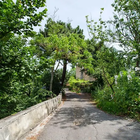 Casa Dea