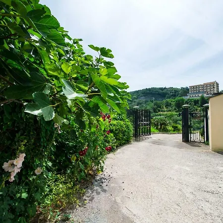 Casa Dea Сasa de vacaciones *